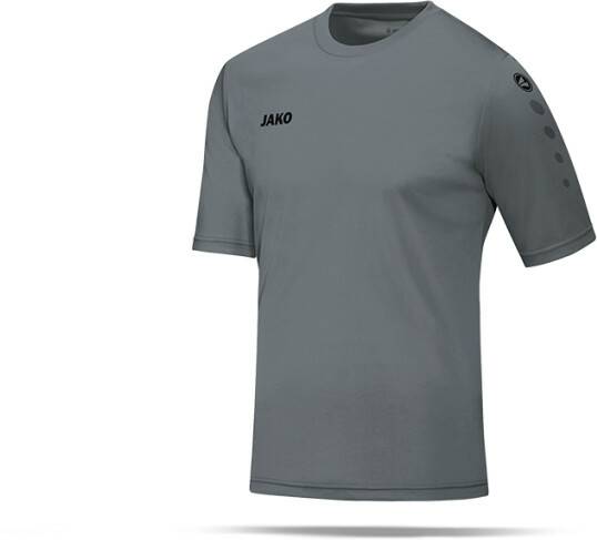 Ropa de deporte JAKO Team Shirt short sleeve Women (4233)(4233D-040) grey