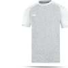 Ropa de deporte JAKO Prestige Shirt short sleeve (4209)(4209-00) grey