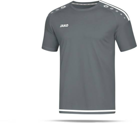 JAKO Striker 2.0 Shirt short sleeve (4219)(4219-40) grey Ropa de deporte