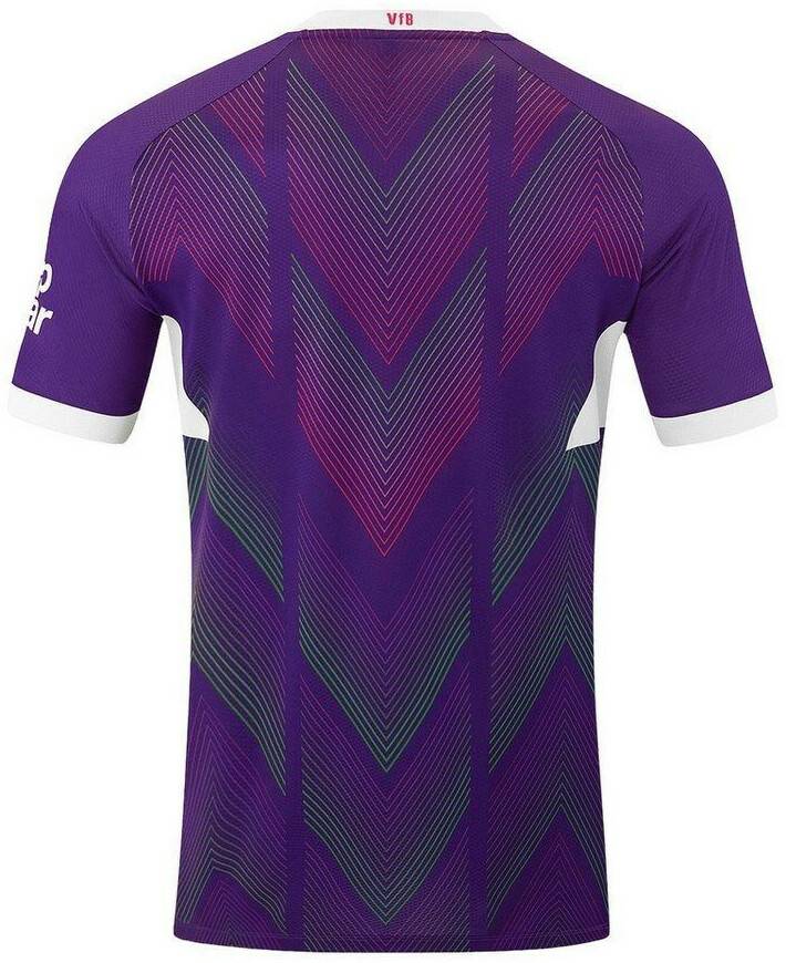 Ropa de deporte JAKO VFB Stuttgart Goalkeeper Shirt Kids 2024/2025purple